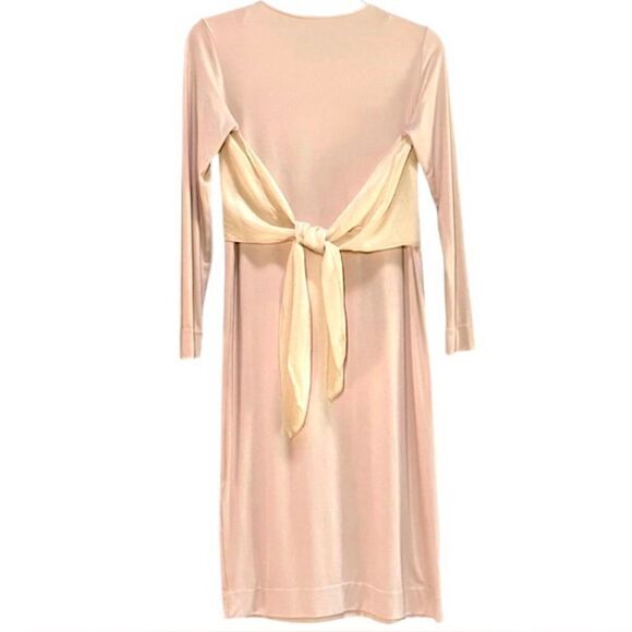 COS Shift Dress with Silk Overlay in Blush Pink Women’s S - Picture 2 of 4